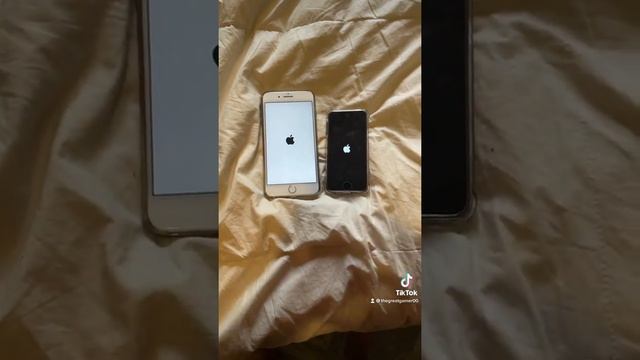 iPhone 7 Plus vs iPod touch 7th gen boot up test смотреть онлайн
