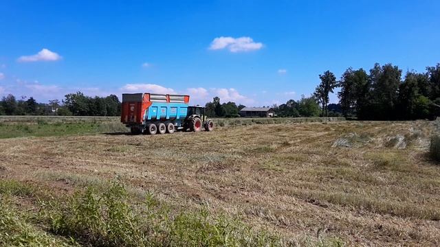 New Claas Jaguar 870+Elia - Claas X3 - JohnDeere - Crosetto-Vaia |Triticale Silage|  IumaGas