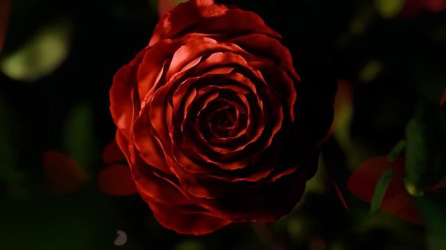 Мощная Антивозрастная Матрица Гаряева ☀️ Омоложение Всего Организма ☀️ Регенерация Всего Тела смотреть онлайн