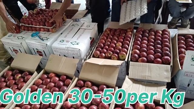 08/09/23 🍎 Today wholesale apple market rate in shimla mandi 🍎 सेब बाजार ढली शिमला मंडी में смотреть онлайн