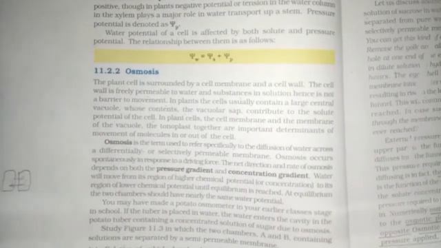 Transport In Plants Session 3 NEET Biology Classes In Malayalam (Sumi) смотреть онлайн