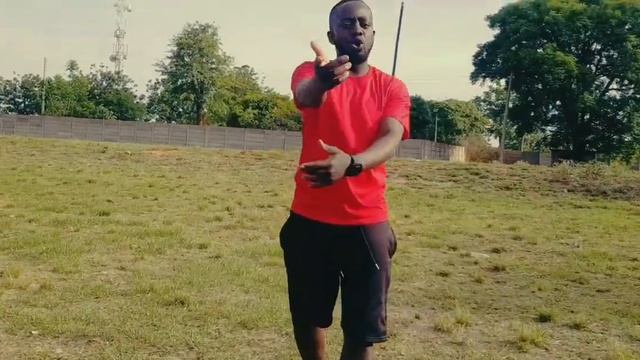 FIRE EMOJIS REMIX (anti drugs version) #leo magoz ft Mac Gee #zimcelebs смотреть онлайн