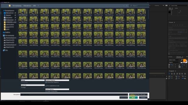iPhone 11 video footage to DNG Raw video Color grading TUTORIAL VOL.2 смотреть онлайн