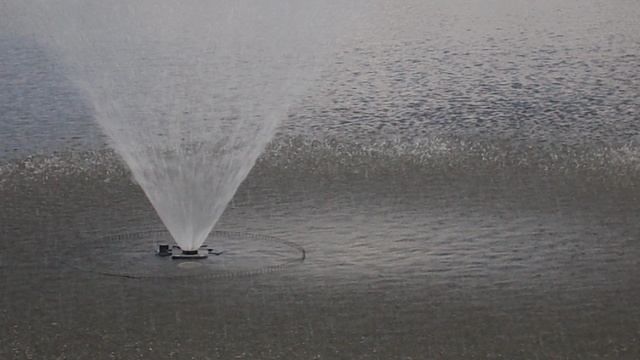 DSCN5636Лотосовый рай  Гуамское ущелье июль 2022