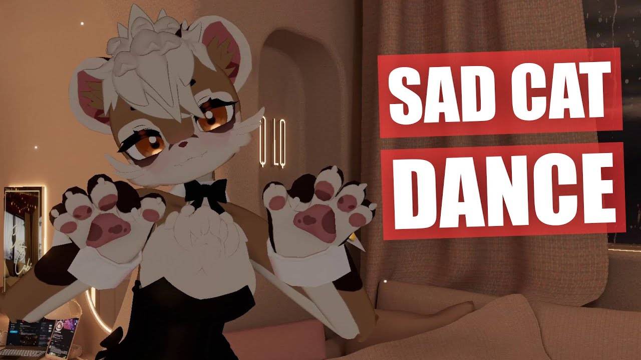 Sad Cat Dance Meme смотреть онлайн