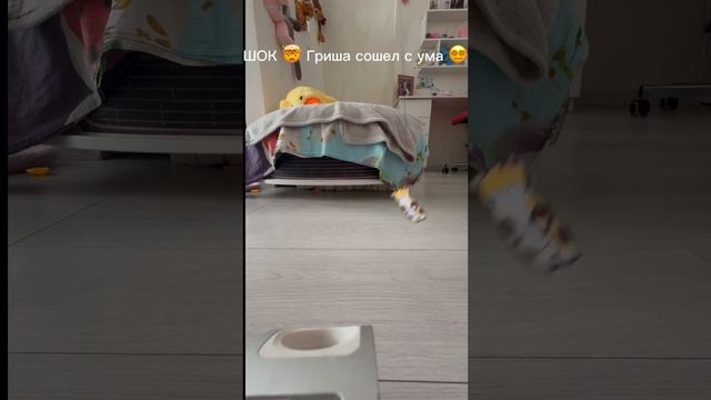 Что делать???