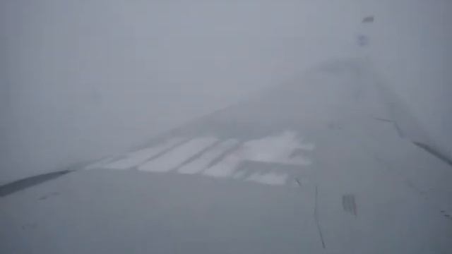 Видимость ноль, посадка ТУ-204 в Шереметьево смотреть онлайн
