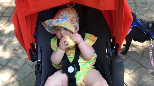 Baby eats apple at 8 months смотреть онлайн