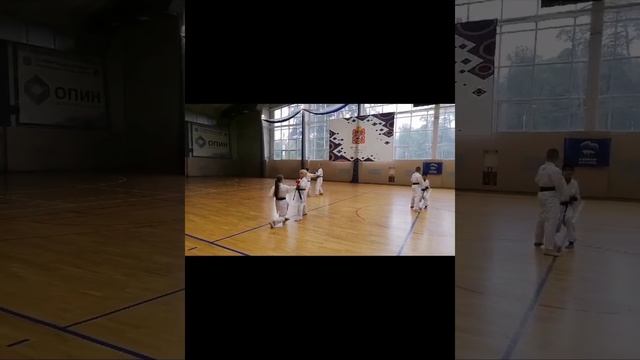 Открытая тренировка по каратэ. Тренер Полковников С.С. 15.07.2023 смотреть онлайн