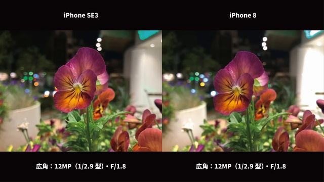 iOS 17 対象外になるiPhone 8から乗り換えならどのiPhoneがいい？【中古A・未使用品】 смотреть онлайн