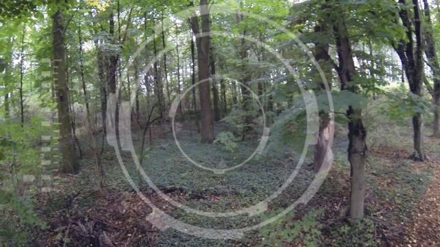 InfinityX - Industrial Dance Movie - Hetzer By Centhron