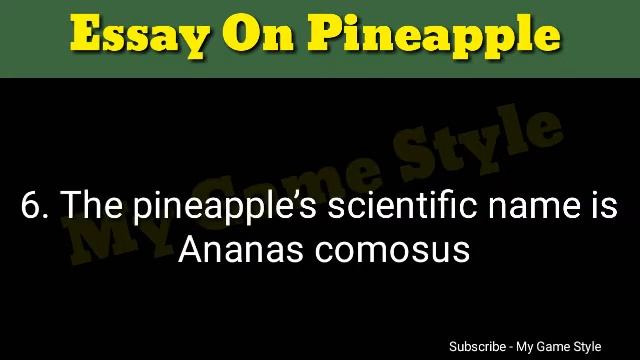 Essay On Pineapple | Essay On My Favourite Fruit Pineapple In English | 10 Lines Essay On Pineapple смотреть онлайн