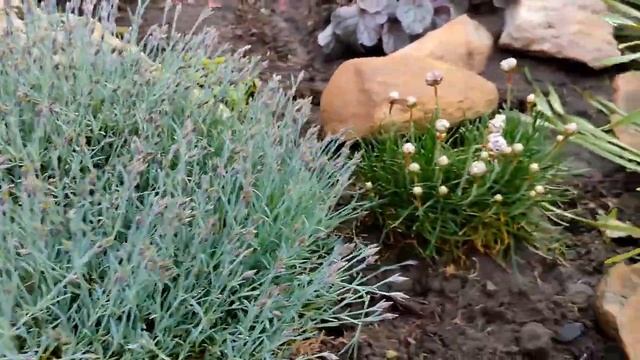 Скоро лето!!! Моя альпийская горочка!!! ...и вот, что у меня получилось!!! смотреть онлайн