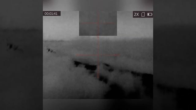 «Перезалив»охота на шакала, из-за сильного ветра шакал не слышал выстрелов. смотреть онлайн