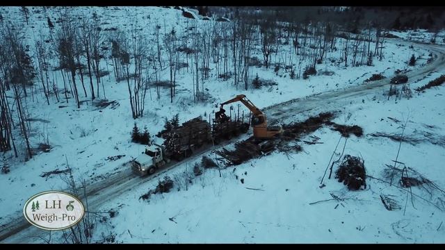 Timber logging truck Canada смотреть онлайн
