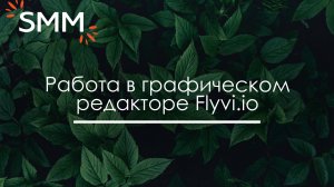 Работа в графическом редакторе Flyvi.io - Анна Цхай