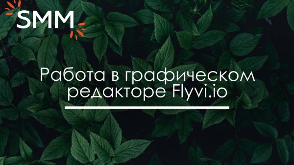Работа в графическом редакторе Flyvi.io - Анна Цхай