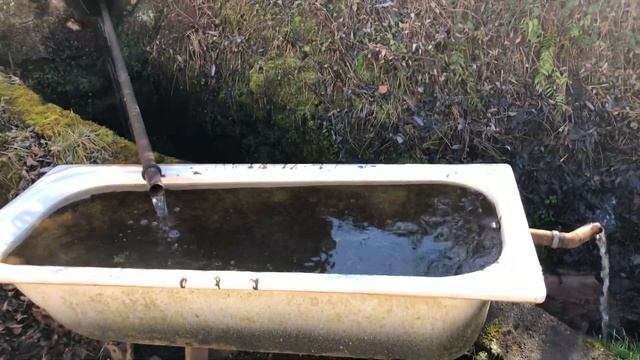 Шмель выкидывает вещи из Дома смотреть онлайн