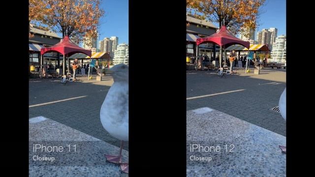 iPhone 12 vs iPhone 11 In-dept Camera/Audio Test - 4K, Night Mode, Macro & More! смотреть онлайн