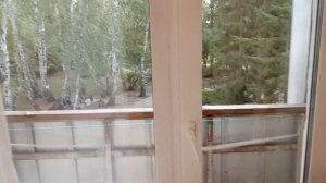 Отдых в санатории Коммунальник. Омская область . Часть 2/ РУМТУР и прогулка со мной и белками