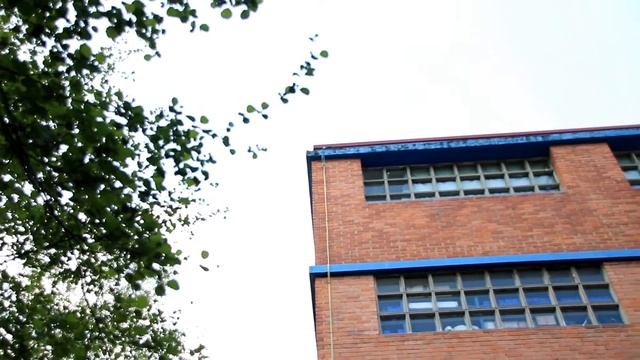 ZOZOAK SUBIÑASEN_ ZAMUDIO _2018.05.05_ Turdus merula_ (Mèrle negre, Merle noir, Merel,)_ смотреть онлайн