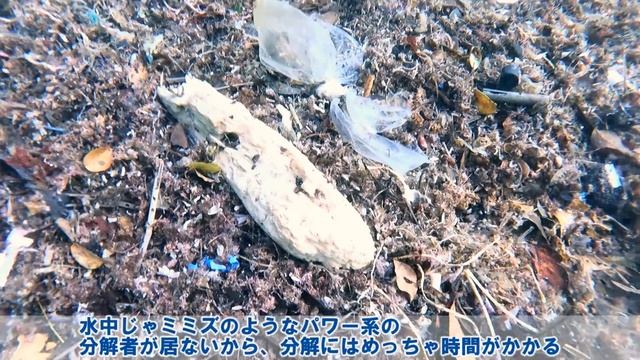 海が荒れた結果、意外過ぎるゴミが大量発生した件！ смотреть онлайн