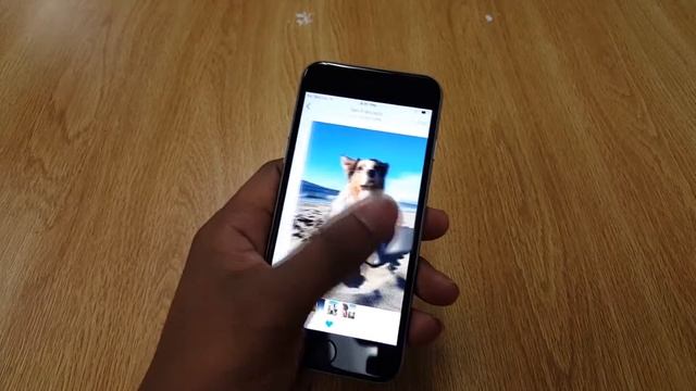 3D Touch & Live Photo on iPhone 6S смотреть онлайн