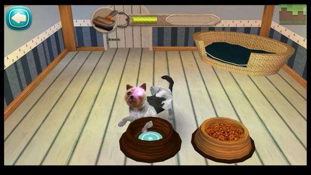 Dog Hotel vs Fishing Break gameplay Android/IOS - Games Kids OnlineTV смотреть онлайн
