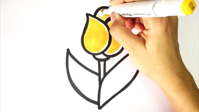 Сурет салу қызғалдақ гүл | Bolajon Lola Gul Rasm Chizish O'rganish