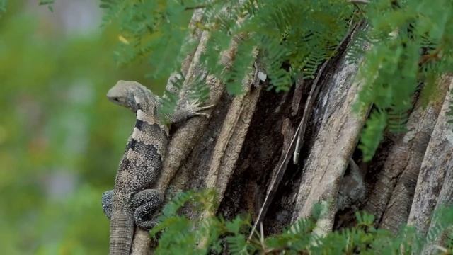 "Наши хорошие качества". 19 октября. Мелоди Битти. Ежедневник для созависимых. смотреть онлайн