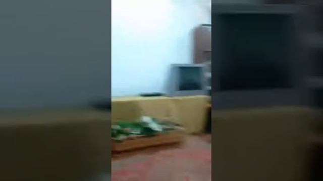 Песня весёлые нотки смотреть онлайн