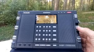 Tecsun  H 501 на природе, осенью в Кишинёве. АМ.(2)