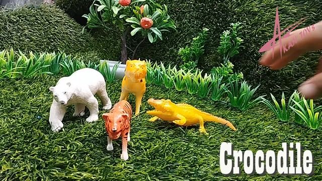 learning carnivorous animals toys polar bear, jaguar, cheetah, crocodile, tiger, dog, lion, eagle смотреть онлайн