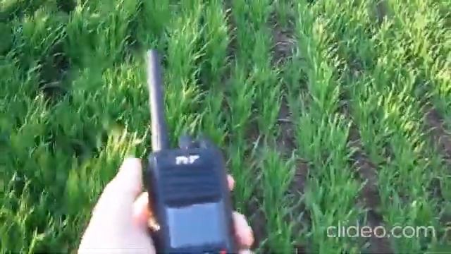 Прогулка в поля и разговоры в DMR смотреть онлайн