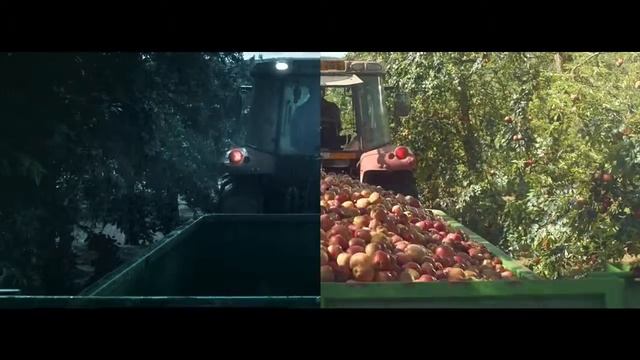 Strongbow 'Bittersweet' смотреть онлайн