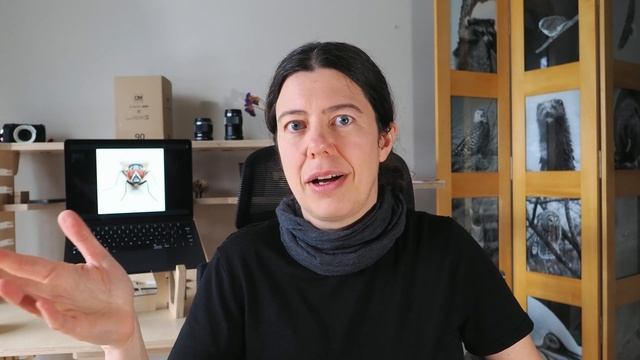 Focus stacking or focus bracketing? смотреть онлайн