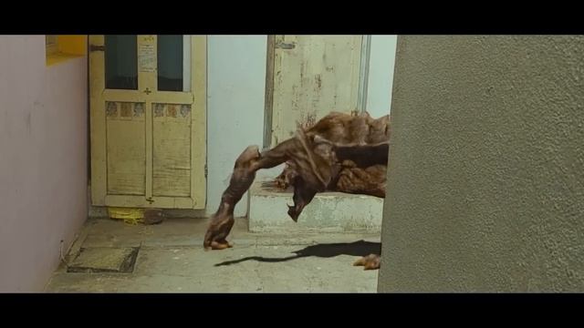 Mobile తో Short Film తీయాలి అనుకుంటున్నారా! ఐతే ఈ వీడియో మీకోసమే | The Explore Guy смотреть онлайн