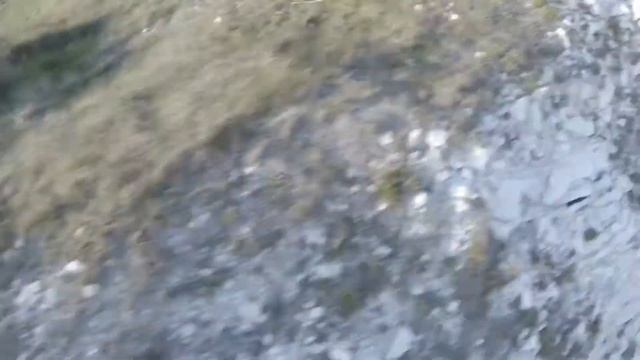 A near miss | Mavic Pro 2 with Litchi running on IOS 12 смотреть онлайн