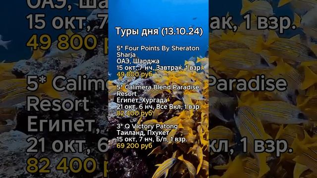 ⭐️⭐️⭐️ТУРЫ ДНЯ (13.10.24)⭐️⭐️⭐️

#shorts #отдых #море #отпуск #путешествия