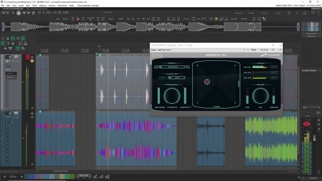 Zynaptiq Morph 2 VS MMorph - Sound Design Morphing Plugins