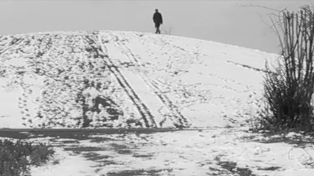 Bendicht Walthert - Dedicated to Robert Walser смотреть онлайн
