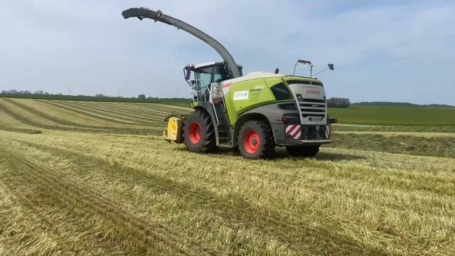 Ensilage d’herbe |Claas Jaguar 950 | campagne 2023 смотреть онлайн