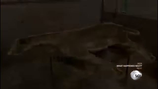 How It's Actually Made - Horses смотреть онлайн