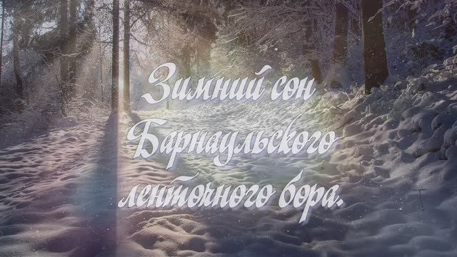 "Зимний сон Барнаульского ленточного бора"