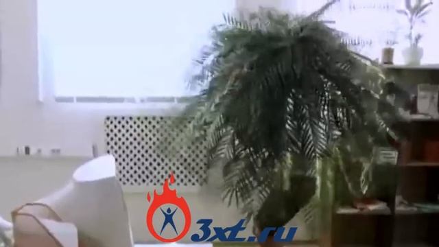 Каскадерские трюки в рекламе #каскадеры #трюки #розыгрыш #funny #funnycommercial смотреть онлайн