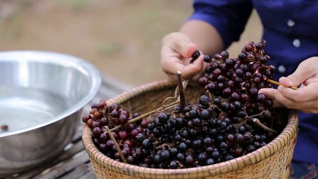 Have you ever seen this fruit in your country - It is call Wild Grapes смотреть онлайн