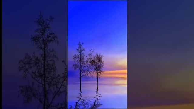 Beautiful Wallpapers| Nature Wallpapers| Mountain Wallpapers| Perfect Dps| 4K| Top 10 Wallpapers| смотреть онлайн