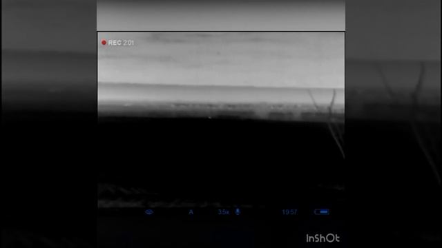 Охота на шакала ночью с манком смотреть онлайн