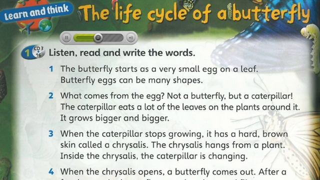 [Super Minds 2] Unit 6 Reading "The life cycle of a butterfly" смотреть онлайн