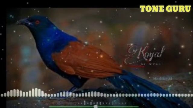 💟Best Old hindi Instrumental ringtone 💓| Bollywood 90s Ringtone| Bole jo koyal song| download смотреть онлайн